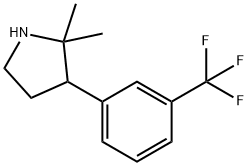 2,2-dimethyl-3-[3-(trifluoromethyl)phenyl]pyrrolidine Structure