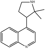 4-(2,2-dimethylpyrrolidin-3-yl)quinoline Structure