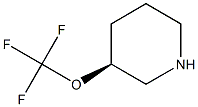 (S)-3-(trifluoromethoxy)piperidine Structure