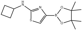 2-CYCLOBUTYLAMINOTHIAZOLE-4-BORONIC ACID PINACOL ESTER Structure