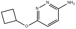 3-Amino-6-(cyclobutoxy)pyridazine Structure