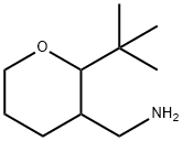 (2-tert-butyloxan-3-yl)methanamine Structure