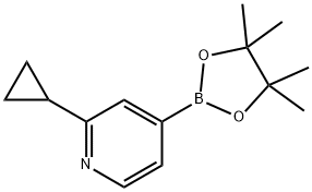 2-cyclopropyl-4-(4,4,5,5-tetramethyl-1,3,2-dioxaborolan-2-yl)pyridine 구조식 이미지