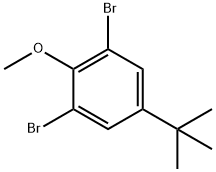 1,3-dibromo-5-(tert-butyl)-2-methoxybenzene 구조식 이미지