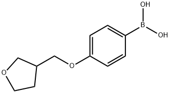 {4-[(oxolan-3-yl)methoxy]phenyl}boronic acid Structure