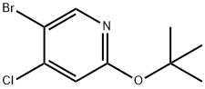 4-Chloro-5-bromo-2-(tert-butoxy)pyridine 구조식 이미지