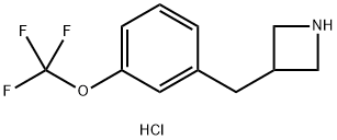 3-{[3-(trifluoromethoxy)phenyl]methyl}azetidine hydrochloride Structure