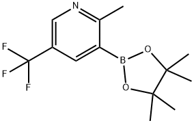 2-Methyl-5-trifluoromethylpyridine-3-boronic acid pinacol ester Structure