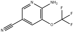 6-AMINO-5-(TRIFLUOROMETHOXY)PYRIDINE-3-CARBONITRILE Structure