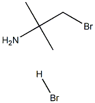 1-bromo-2-methylpropan-2-amine hydrobromide Structure