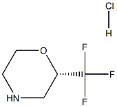 (2S)-2-(trifluoromethyl)morpholine hydrochloride Structure