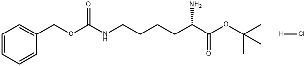 Lysine, N6-[(phenylmethoxy)carbonyl]-, 1,1-dimethylethyl ester, hydrochloride (1:1) Structure