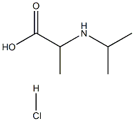 2-[(propan-2-yl)amino]propanoic acid hydrochloride Structure