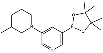 5-(3-Methylpiperidin-1-yl)pyridine-3-boronic acid pinacol ester 구조식 이미지