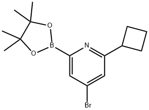 4-Bromo-6-(cyclobutyl)pyridine-2-boronic acid pinacol ester Structure