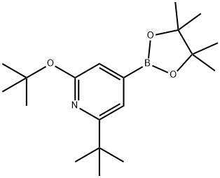 2-(tert-butoxy)-6-(tert-butyl)-4-(4,4,5,5-tetramethyl-1,3,2-dioxaborolan-2-yl)pyridine 구조식 이미지