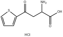 2-amino-4-oxo-4-(thiophen-2-yl)butanoic acid hydrochloride Structure
