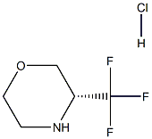 (R)-3-(Trifluoromethyl)morpholine hydrochloride Structure
