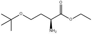 ethyl 2-amino-4-(tert-butoxy)butanoate Structure