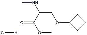 methyl 3-cyclobutoxy-2-(methylamino)propanoate hydrochloride Structure