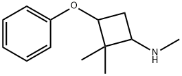 N,2,2-trimethyl-3-phenoxycyclobutan-1-amine Structure