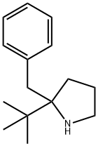2-benzyl-2-tert-butylpyrrolidine Structure