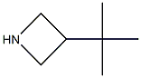 3-tert-butylazetidine Structure