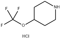 4-(trifluoromethoxy)piperidine hydrochloride 구조식 이미지