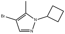 4-Bromo-5-methyl-1-cyclobutyl-1H-pyrazole 구조식 이미지