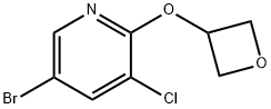 5-Bromo-3-chloro-2-(oxetan-3-yloxy)pyridine Structure