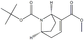 8-tert-butyl 2-methyl (1R,5S)-8-azabicyclo[3.2.1]oct-2-ene-2,8-dicarboxylate 구조식 이미지