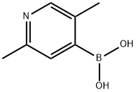 (2,5-dimethylpyridin-4-yl)boronic acid 구조식 이미지