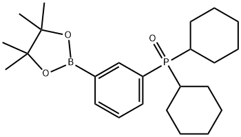 Dicyclohexyl(3-(4,4,5,5-tetramethyl-1,3,2-dioxaborolan-2-yl)phenyl)phosphine oxide Structure