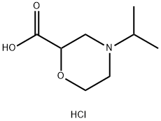4-(propan-2-yl)morpholine-2-carboxylic acid hydrochloride Structure