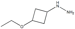 ((1s,3s)-3-ethoxycyclobutyl)hydrazine Structure