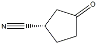 (S)-3-oxocyclopentane-1-carbonitrile 구조식 이미지