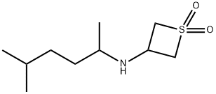 3-((5-methylhexan-2-yl)amino)thietane 1,1-dioxide Structure