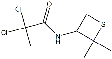 2,2-dichloro-N-(2,2-dimethylthietan-3-yl)propanamide 구조식 이미지