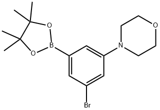 4-(3-bromo-5-(4,4,5,5-tetramethyl-1,3,2-dioxaborolan-2-yl)phenyl)morpholine 구조식 이미지