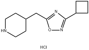 4-[(3-cyclobutyl-1,2,4-oxadiazol-5-yl)methyl]piperidine hydrochloride 구조식 이미지