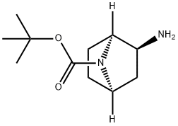 (1S,2S,4R)-tert-Butyl 2-amino-7-azabicyclo[2.2.1]heptane-7-carboxylate 구조식 이미지
