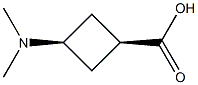 cis-3-(dimethylamino)cyclobutane-1-carboxylic acid Structure