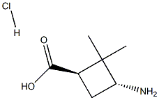 (1R,3R)-3-amino-2,2-dimethylcyclobutane-1-carboxylic acid hydrochloride Structure