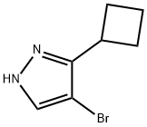 4-bromo-3-cyclobutyl-1H-pyrazole Structure