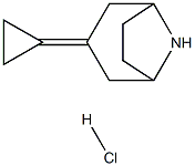 3-cyclopropylidene-8-azabicyclo[3.2.1]octane hydrochloride Structure