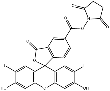 2',7'-Difluoro-3',6'-dihydroxy-3-oxospiro[isobenzofuran-1(3H),9'-[9H]xanthene]-5-carboxylic acid 2,5-dioxo-1-pyrrolidinyl ester Structure