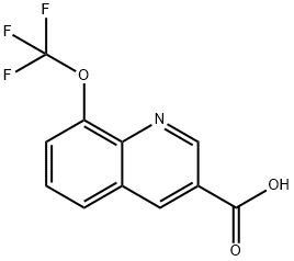 8-(trifluoromethoxy)quinoline-3-carboxylic acid Structure