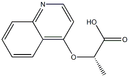 (S)-2-(quinolin-4-yloxy)propanoic acid Structure