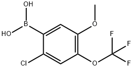 [2-Chloro-5-methoxy-4-(trifluoromethoxy)phenyl]boronic acid 구조식 이미지