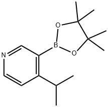 4-(iso-Propyl)pyridine-3-boronic acid pinacol ester 구조식 이미지